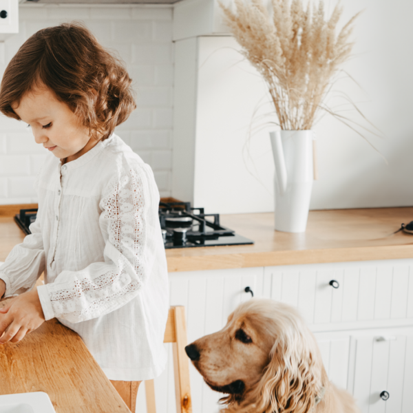 Galletas sencillas para tu mascota hechas por los más pequeños